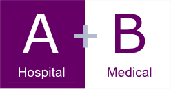 Medicare Parts A and B